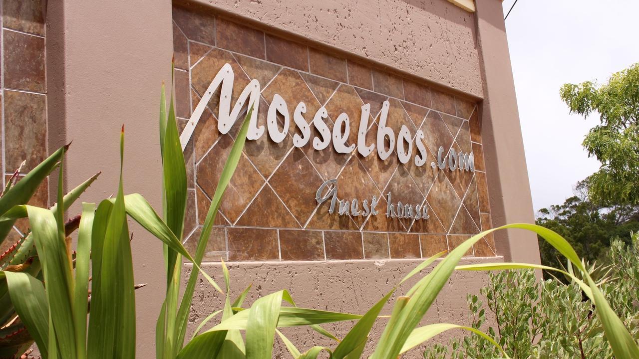 Mosselbos Guesthouse Self-Catering Great Brak River Exterior foto